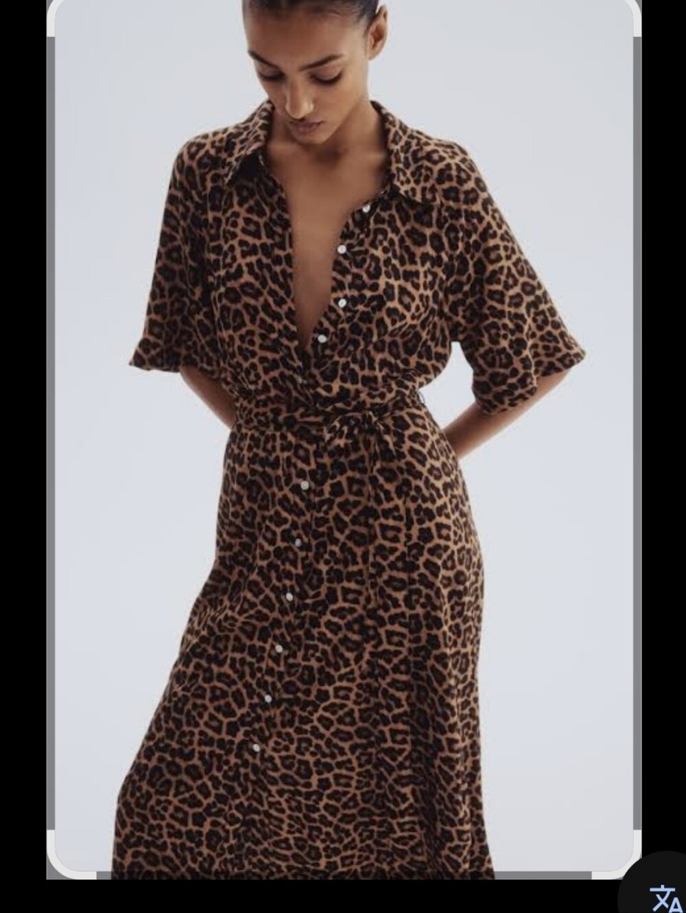 Leopard Print Shirt Dress in Brown